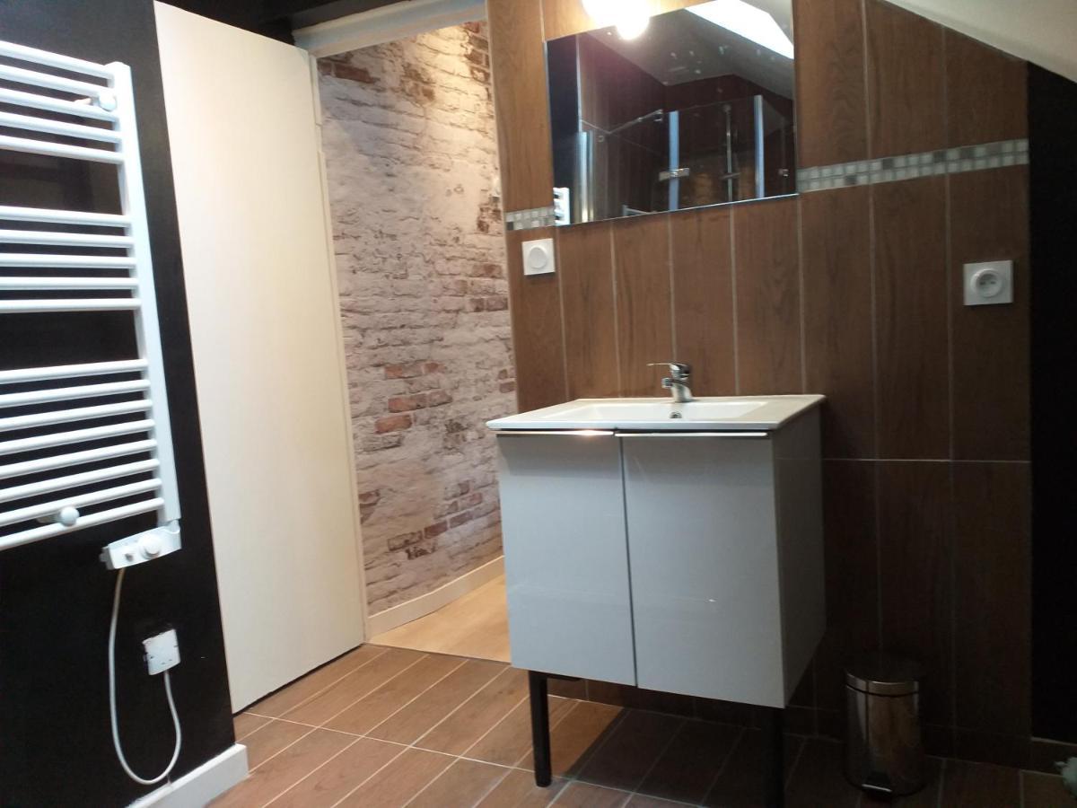 Les Volets Bleus - Deux Appartements Et Un Studio, Jardin 부르주 외부 사진