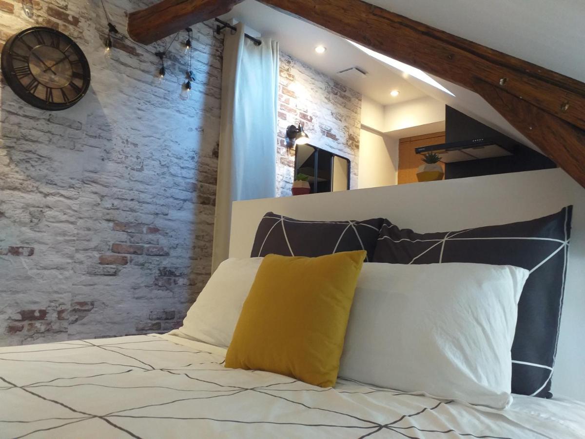 Les Volets Bleus - Deux Appartements Et Un Studio, Jardin 부르주 외부 사진