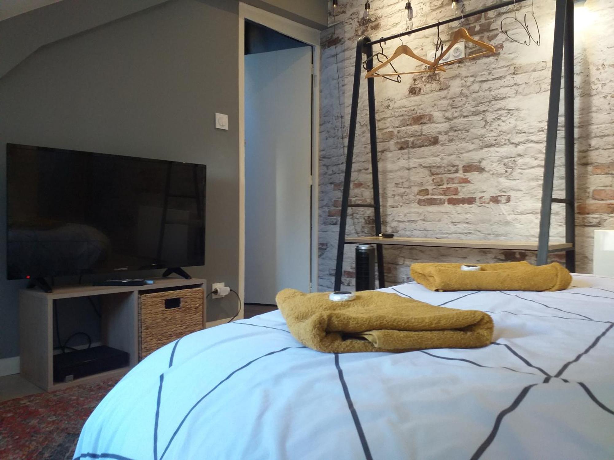 Les Volets Bleus - Deux Appartements Et Un Studio, Jardin 부르주 객실 사진