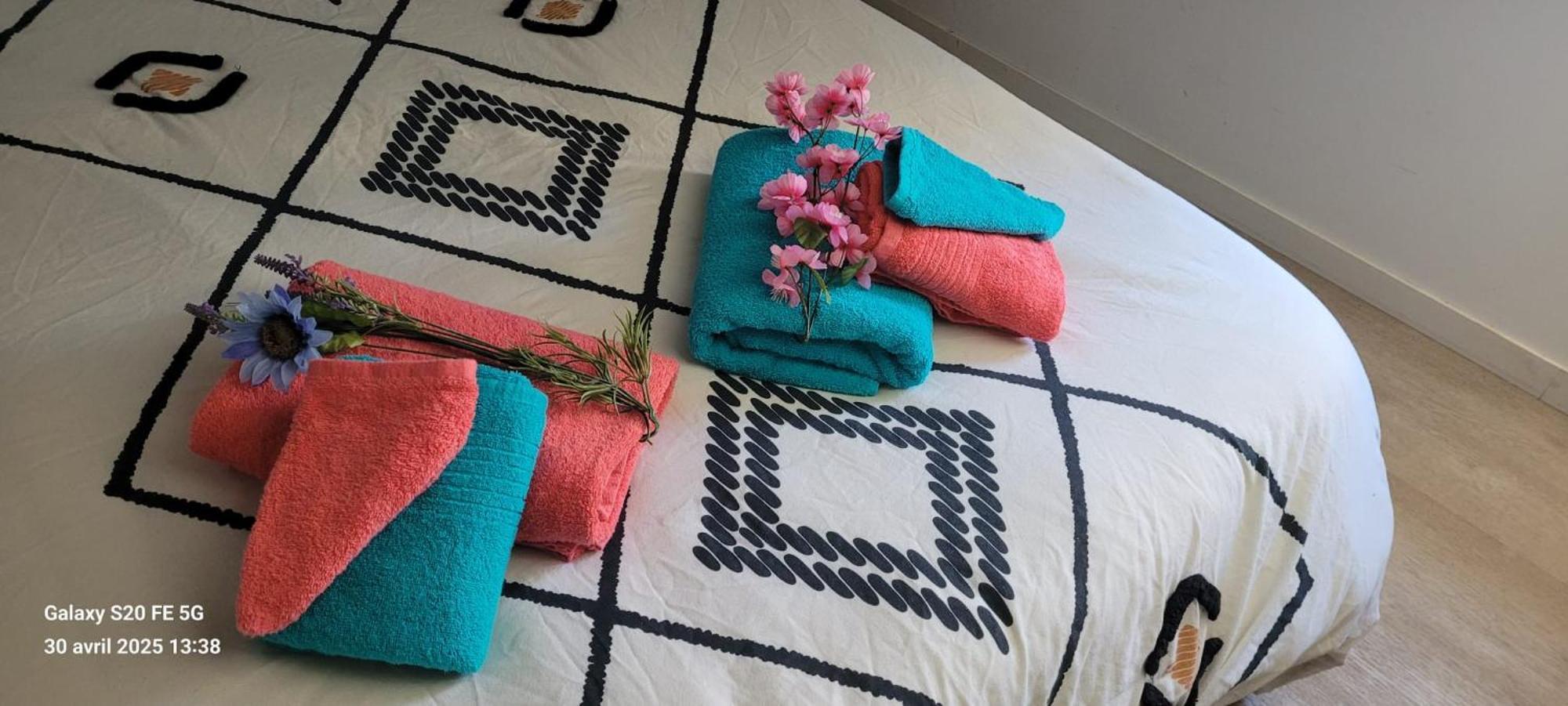 Les Volets Bleus - Deux Appartements Et Un Studio, Jardin 부르주 외부 사진