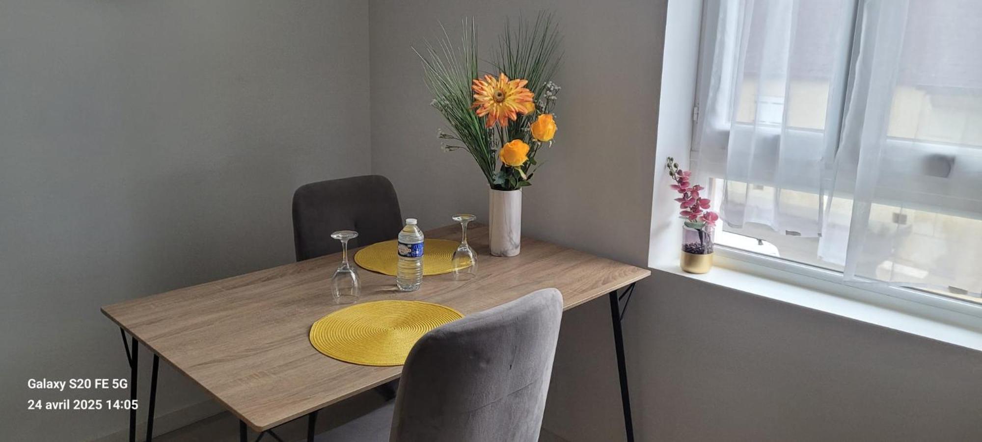 Les Volets Bleus - Deux Appartements Et Un Studio, Jardin 부르주 외부 사진