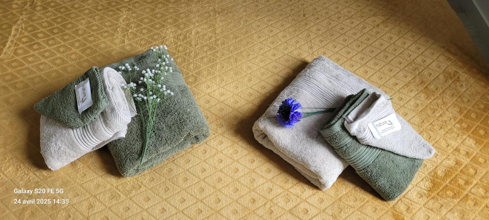 Les Volets Bleus - Deux Appartements Et Un Studio, Jardin 부르주 외부 사진